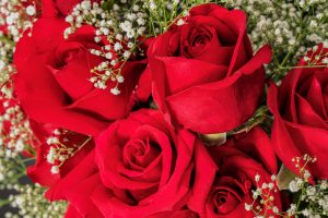 A bouquet of roses